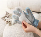 Why is my Cat shedding so much in Australia? Causes, Solutions & Coat care tips.
