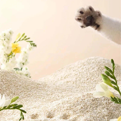 CuiHua Xu Mixed Corn&Tofu Cat Litter Low Tracking 2.5kg -Pre Order