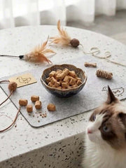 PawDry Freeze-Dried Duck Raw Meaty Bone (RMB) 100g in a bowl with treats on a table with a cat nearby.