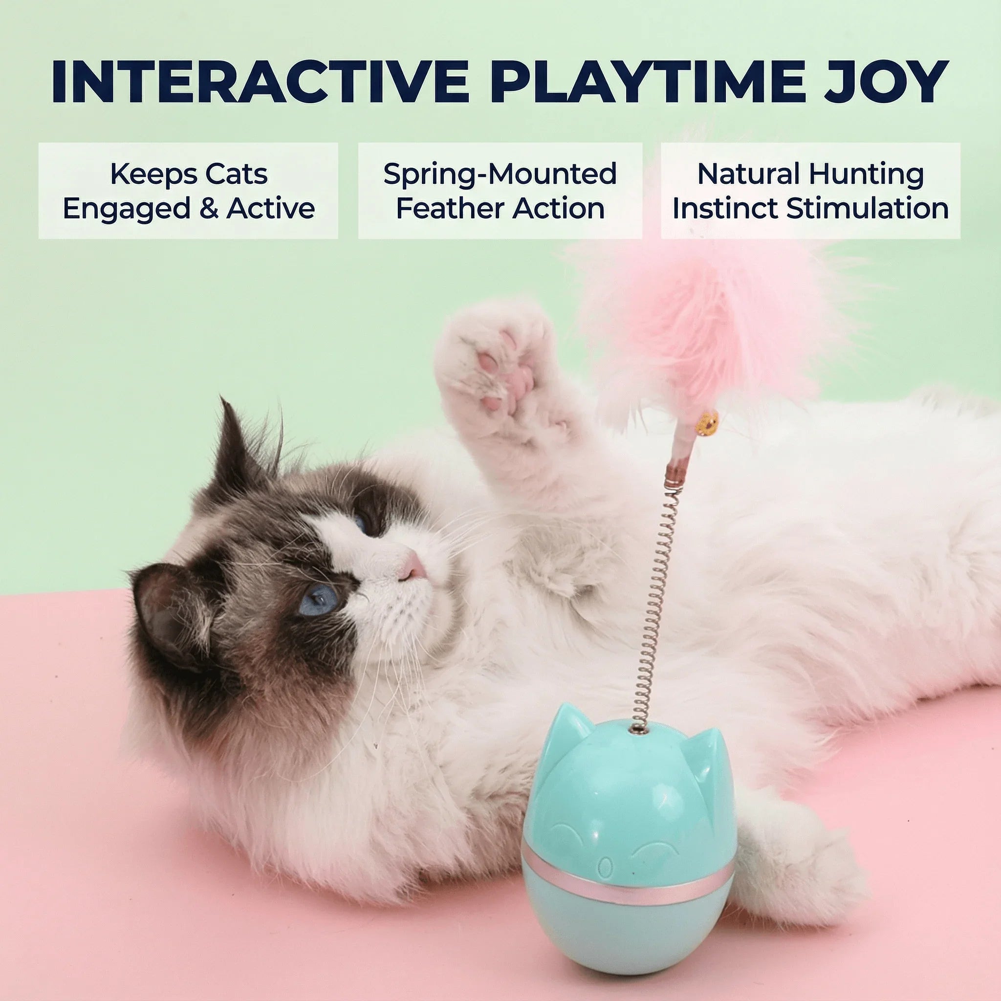 Fluffy cat playing with spring-mounted feather toy, interactive pet playtime joy for active felines