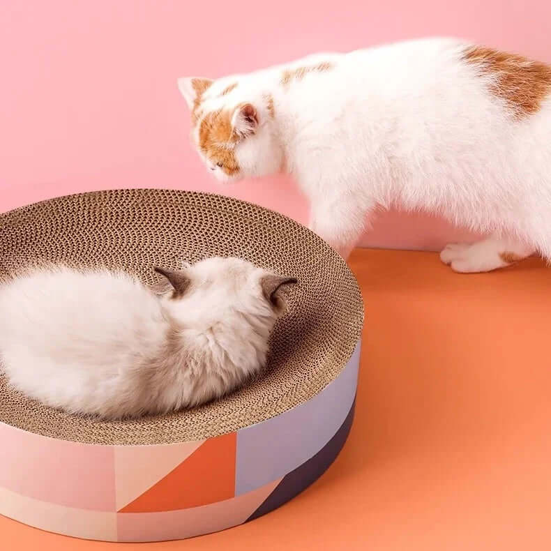 Petshy Cat Scratcher Board XL with two cats, showcasing its durable design for scratching and napping.