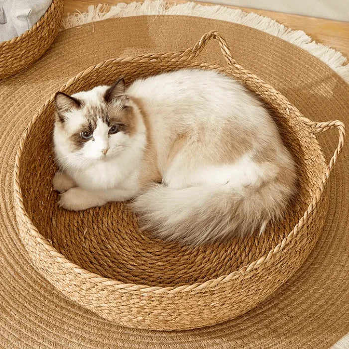 Fluffy cat resting in a woven seagrass pet bed, cozy and stylish for cats