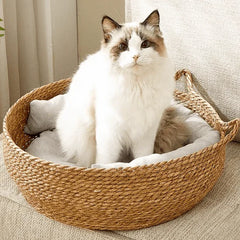 Fluffy white cat in woven seagrass pet bed with soft cushion, stylish cat furniture for home
