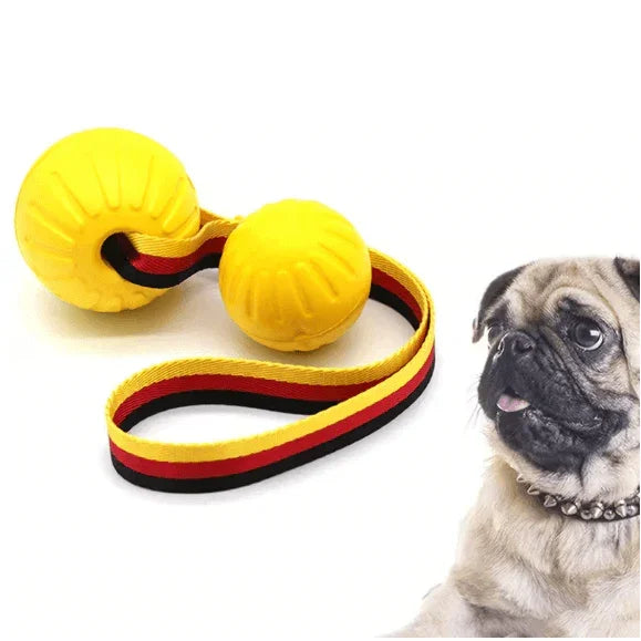 Floating Foam Dog Toy Ball with Rope