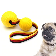 Floating Foam Dog Toy Ball with Rope