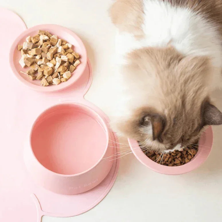 Fluffy cat eating from pink pet bowl with dry food, water bowl nearby, stylish cat feeding set