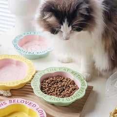Scallop Ceramic Pet Bowl Durable & easy-to-clean