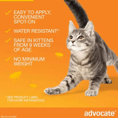 Adocate cat flea treatment: easy spot-on, water resistant, safe for kittens 9+ weeks, no minimum weight