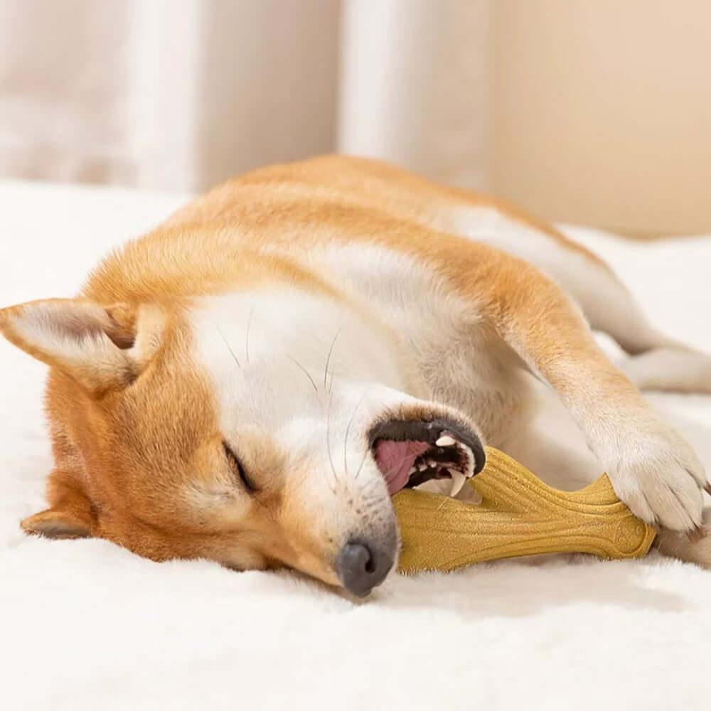 Antler-Shaped Chew Dog Toy – Durable Teething Stick for Small &Medium Dogs-Petroom