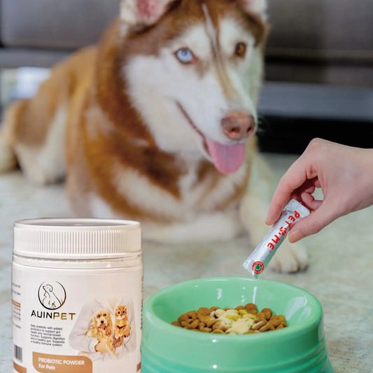 Auinpet PROBIOTIC POWDER For Cats and Dogs 60g-Petroom