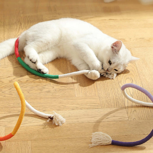 Cat Rope Toy – 70cm Catnip Chew Rope with Silvervine Fruit-Petroom