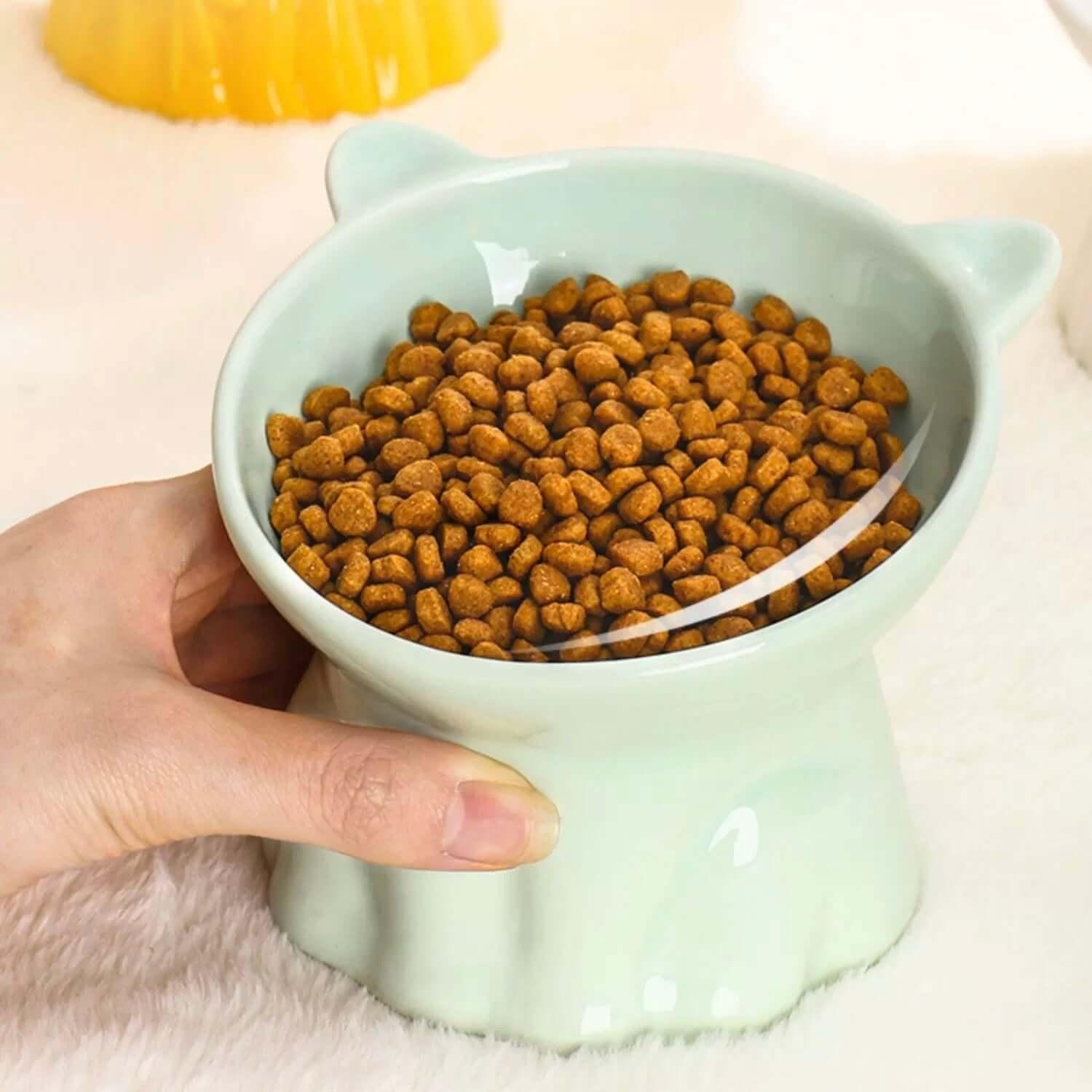 Ceramic Elevated Cat Bowl with 15° Tilt-Petroom