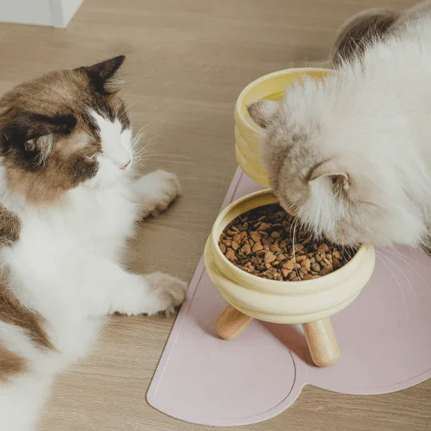 Ceramic Pet Bowls with Wood Stand Elevated Cat & Dog Feeder-Petroom