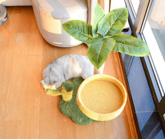 Coconut Cat Tree Tower Scratching Post Toys-Petroom