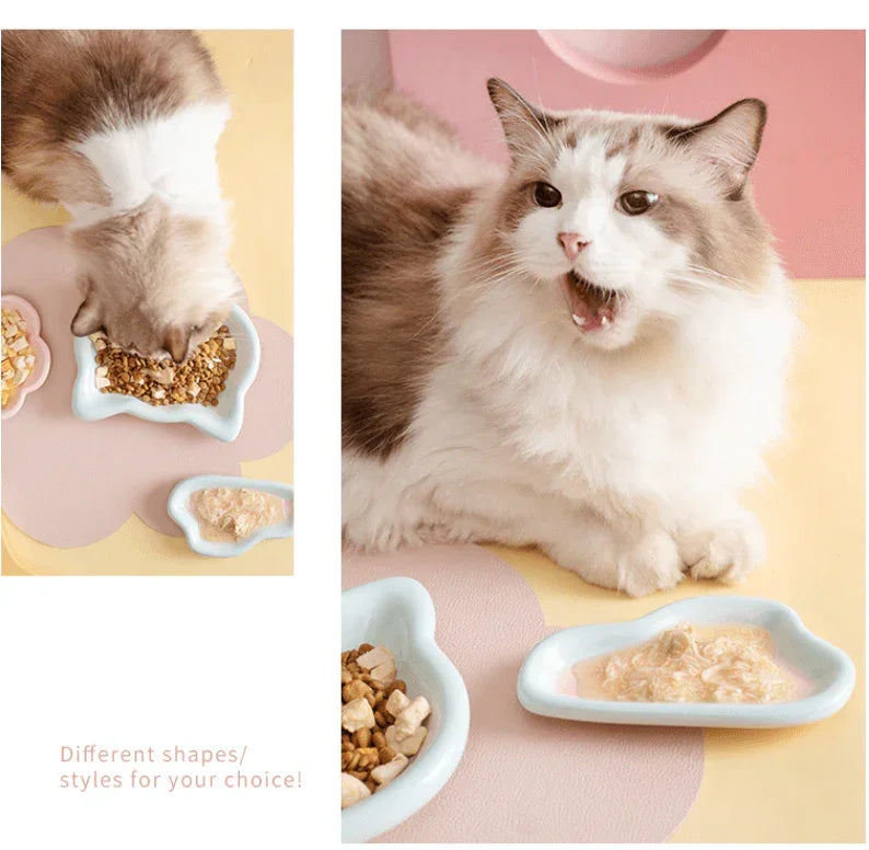 Fluffy cat eating from stylish ceramic bowls in pastel colors, perfect for cat food and treats.