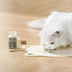 Michu Euphoria Dried Catnip Flakes for Cats 100ml | Natural Catnip for Enrichment Alongside Freeze Dried Cat Treats