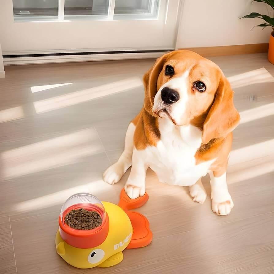 Beagle dog with yellow duck-shaped slow feeder bowl filled with dry kibble on wooden floor