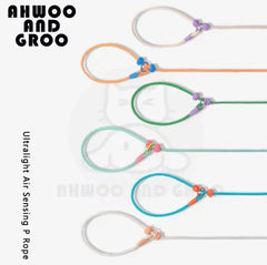 Rope Dog Leash Durable Nylon – Adjustable Slip Lead with Metal Ring-Petroom