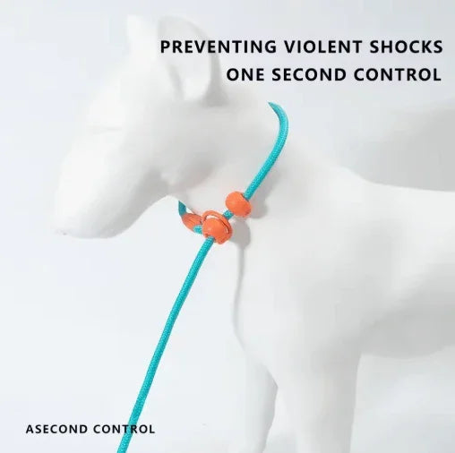 Rope Dog Leash Durable Nylon – Adjustable Slip Lead with Metal Ring-Petroom