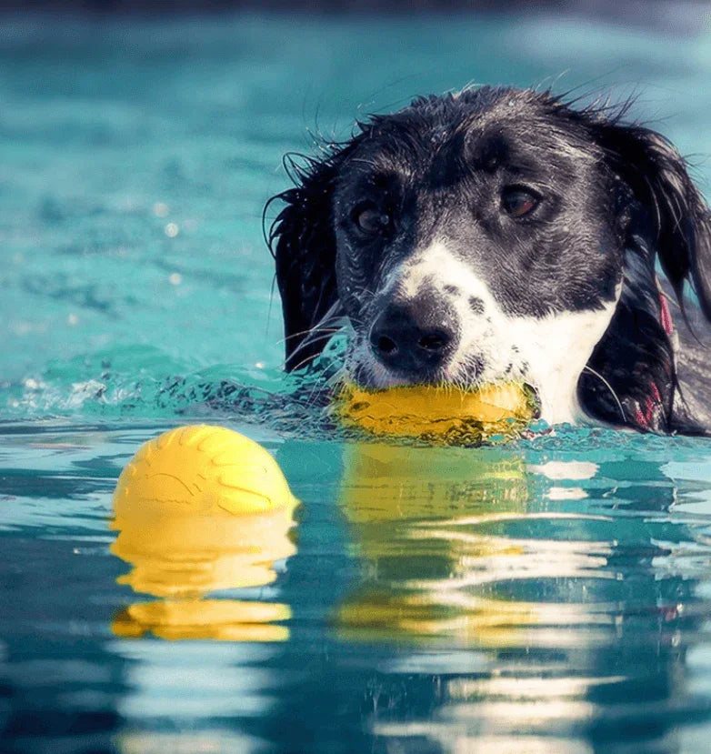 Floating Foam Dog Toy Ball with Rope – Safe & Durable Water Fetch Toy-Petroom