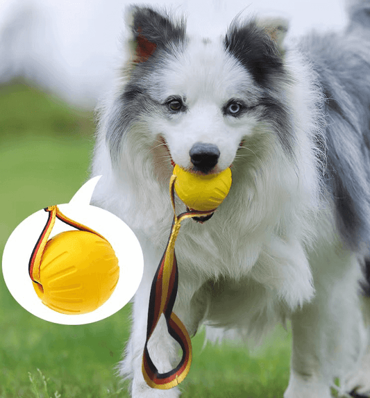 Floating Foam Dog Toy Ball with Rope – Safe & Durable Water Fetch Toy-Petroom