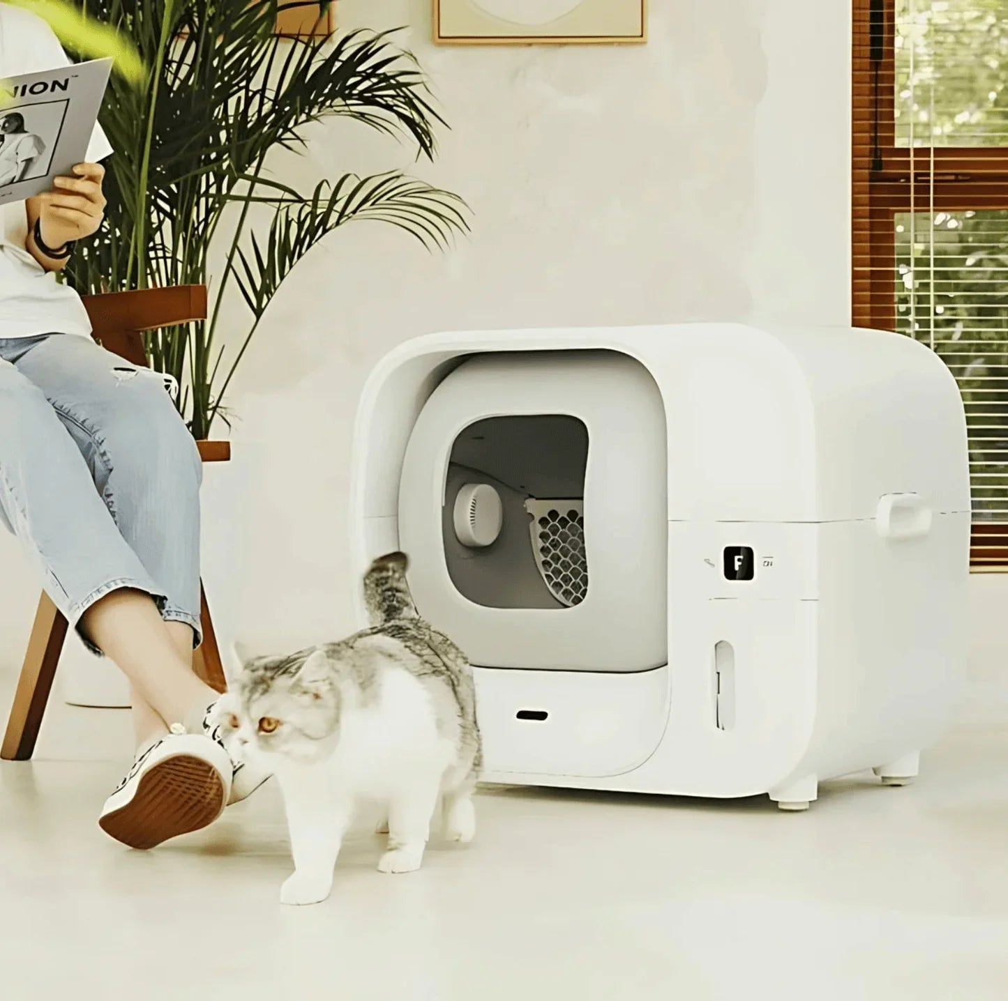 Modern white self-cleaning cat litter box with gray tabby cat nearby in cozy home setting