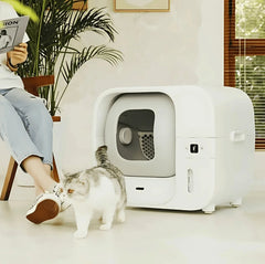 Modern white self-cleaning cat litter box with gray tabby cat nearby in cozy home setting