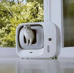 White automatic self-cleaning litter box with cat inside, modern pet supply for home