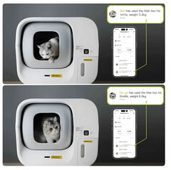 Smart self-cleaning litter box with app tracking for cats, showing usage time and weight data