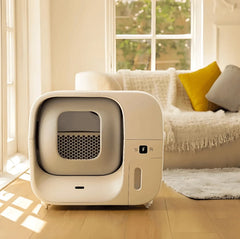 Modern self-cleaning cat litter box in cozy living room with natural light