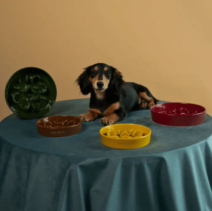 KAMA MUTA Ceramic Slow Feeder Bowl-Petroom