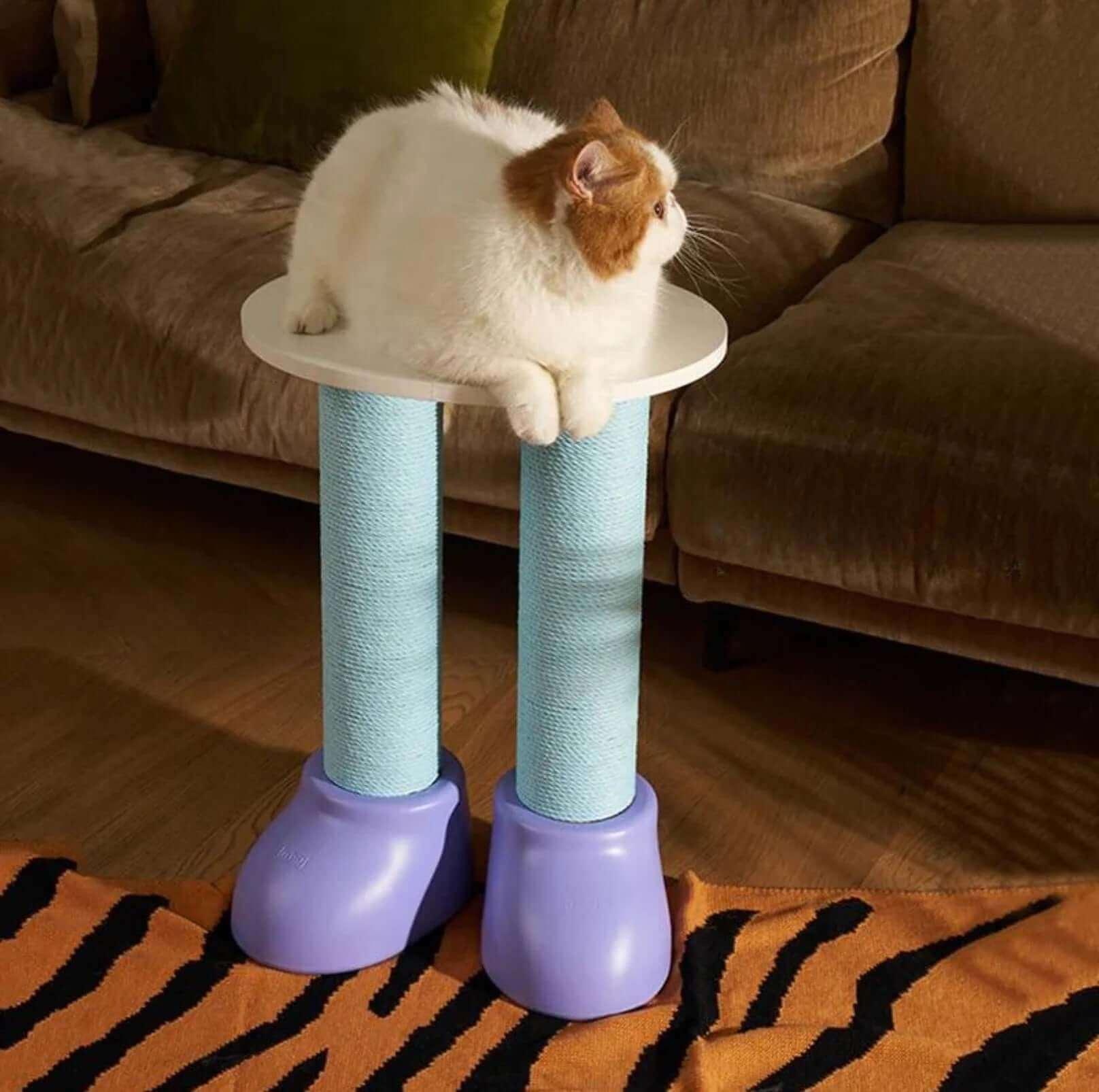 Fluffy cat lounging on stylish blue scratching post with purple bases, perfect for pet comfort.