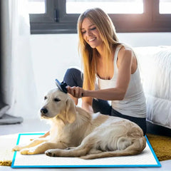 400pcs Absorbent Dog Training Pad 60 x 60 cm