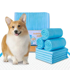 400pcs Absorbent Dog Training Pad 60 x 60 cm