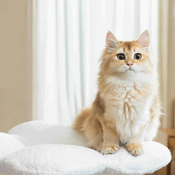 MICHU Fairy Cat Tower Deluxe 4-Tier Designer Flower Cat Tree with a fluffy orange cat sitting on a white platform.