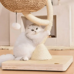 Fluffy white cat using modern wicker cat tree with scratching post and hanging toy