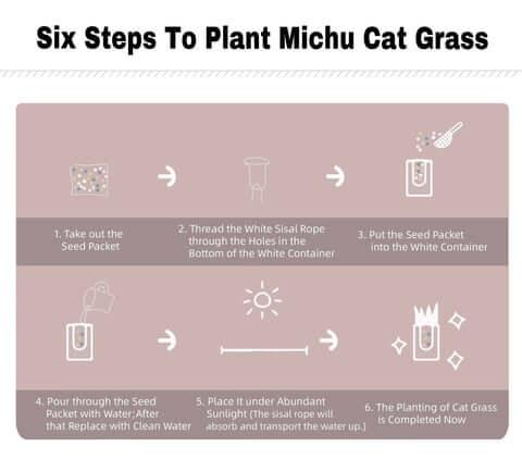 MICHU Soil-Free Cat Grass Kit With Extra Seed Pack-Petroom