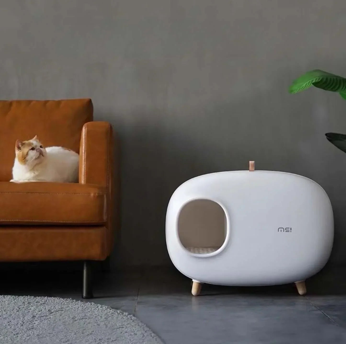 Modern white cat litter box with wooden legs beside brown leather armchair and fluffy cat