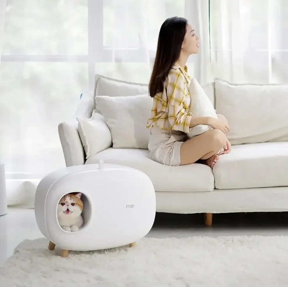 White modern cat litter box with cat inside, beside woman on sofa in bright living room