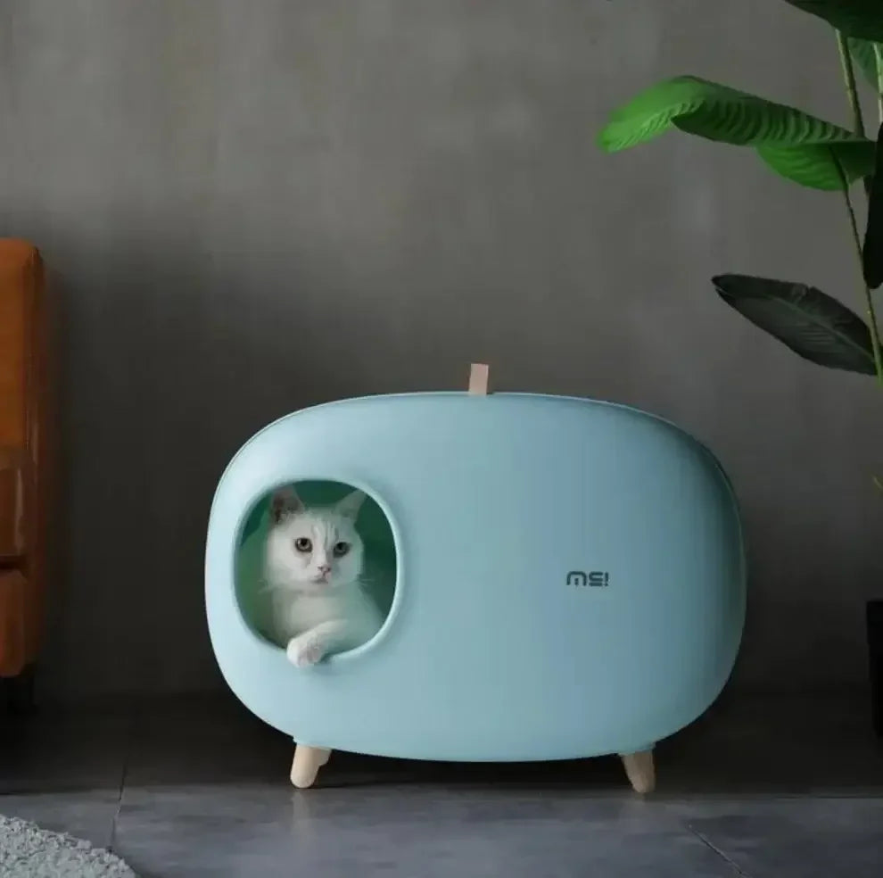 White cat in modern mint green enclosed litter box with wooden legs, stylish pet supply for home