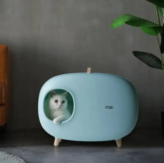 White cat in modern mint green enclosed litter box with wooden legs, stylish pet supply for home