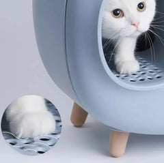 White cat in modern gray litter box with wooden legs and perforated tray