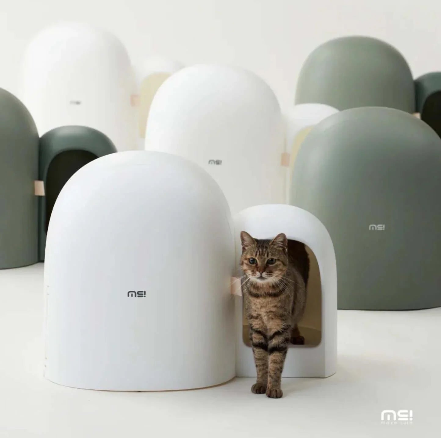 Makesure Cat Litter Box MAX Ideal for large cats-Petroom