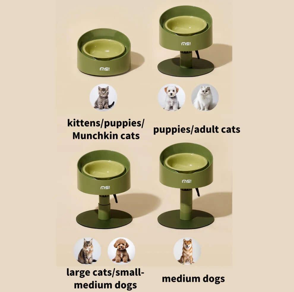 Adjustable pet bowls for kittens, puppies, cats, and dogs in olive green, styled for modern pet homes.