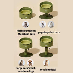 Adjustable pet bowls for kittens, puppies, cats, and dogs in olive green, styled for modern pet homes.