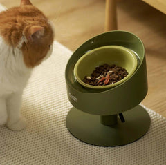 Cat eating from elevated green pet bowl with dry food, modern design for cats and dogs