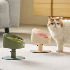 Fluffy cat beside modern elevated cat bowls in green and beige, stylish pet feeding station