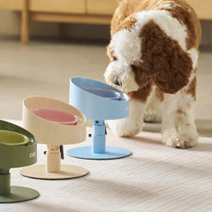 Cute brown and white dog drinking from elevated blue pet bowl, with pink and green bowls nearby