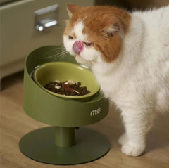 Orange and white cat eating from elevated green pet bowl with dry food, stylish cat feeding station