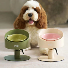 Stylish elevated dog bowls in green and beige with happy pup, perfect for cats and dogs